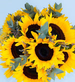 15 sunflowers in a vase
