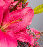 Detalle De Lirio Rosa