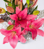 Detalle De Lirio Rosa