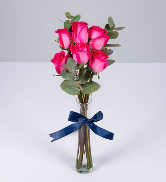 6 Rosas Topacio