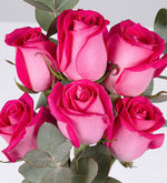 6 Rosas Topacio