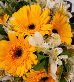 Ramo de gerberas amarillas y astromelias