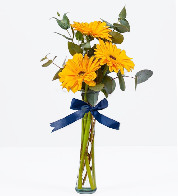 3 Gerberas Amarillas
