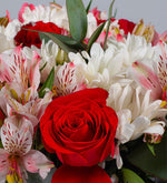 Astromelias, Margaritas Blancas y Rosas Rojas / Jarrón (B)