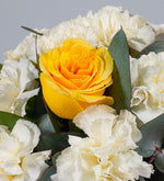 Claveles Blancos Y Rosa Amarillo En Caja