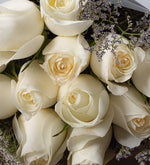 Ramo de 13 rosas blancas (A)