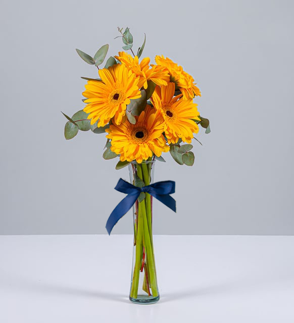 5 Gerberas Amarillas