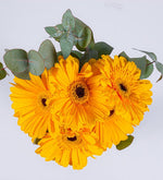 5 Gerberas Amarillas