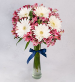 Gerberas Blancas Y Astromelias Rosas