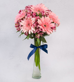 Gerberas Astromelias Rosadas (A)