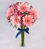 Gerberas Astromelias Rosadas (A)