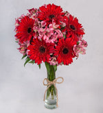 Gerberas Rojas Y Astromelias Rosadas