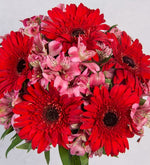 Gerberas Rojas Y Astromelias Rosadas