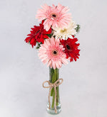 Violetero De Gerberas De Amor (M)
