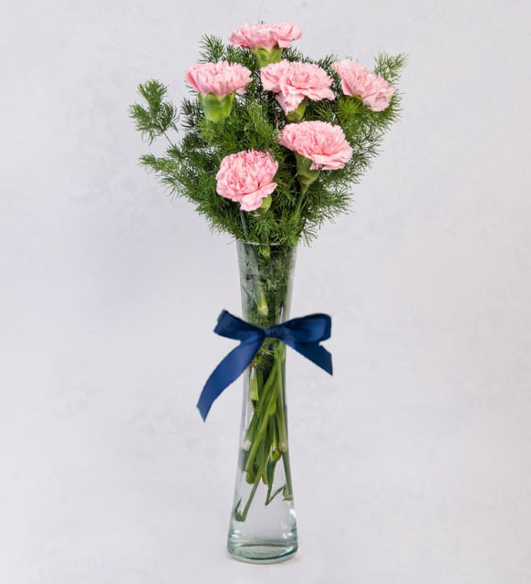 Claveles Rosados En Violetero (M)