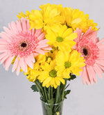 Margaritas Amarillas Y Gerberas Rosadas En Violetero (A)