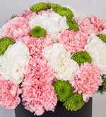 Claveles Blancos Y Rosas Con Yokos En Caja