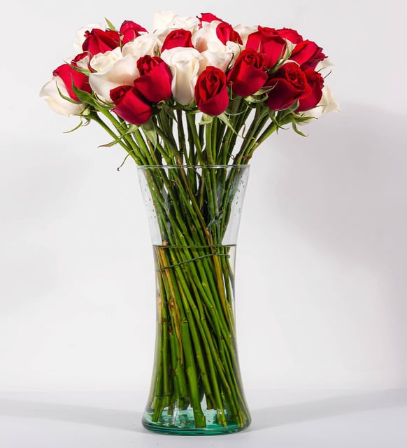 50 Rosas Rojas Y Blancas