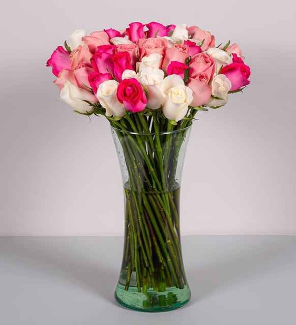 50 Rosas Rosadas y Blanco