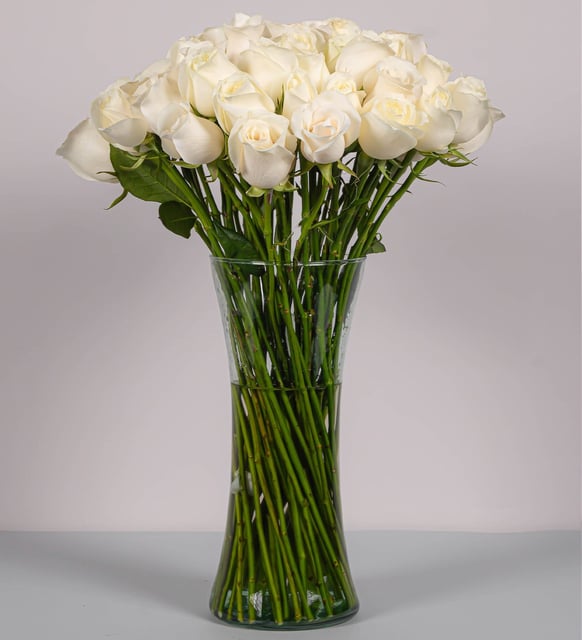 50 Rosas Blancas