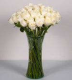 50 Rosas Blancas