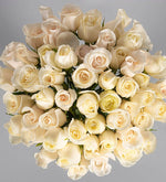 50 Rosas Blancas