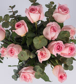 Detalle / Rosas Rosas (B)