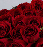 Bouquet 36 Rosas Rojas (A)