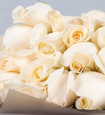 Bouquet 24 Rosas Blancas a Domicilio con Lolaflora (M)