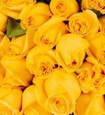 Bouquet 24 Rosas Amarillas