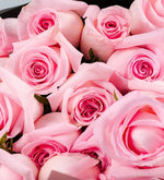 Ramo 24 Rosas Rosadas