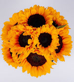 Caja De Girasoles