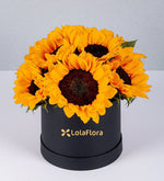 Caja De Girasoles