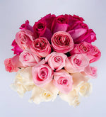 Caja Escala De Rosas