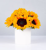 Maceta De Girasoles