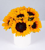 Maceta De Girasoles