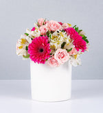 Maceta De Gerberas Fucsia Y Mini Rosa Rosa
