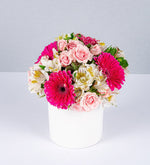 Maceta De Gerberas Fucsia Y Mini Rosa Rosa