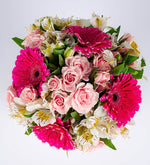 Maceta De Gerberas Fucsia Y Mini Rosa Rosa