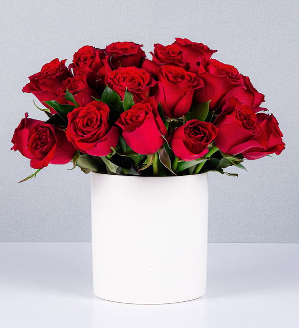 Maceta Rosas Rojas Perfectas