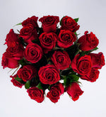 Maceta Rosas Rojas Perfectas