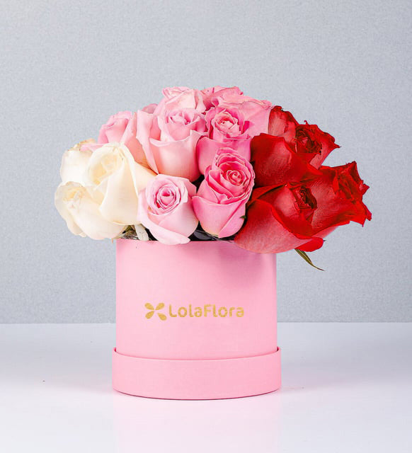 Pink Box With Roses in Gradient