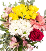 Margaritas de colores y gerbera rosa y astromelia y rosa fucsia en jarrón