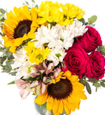 Margaritas blancas y amarillas, Astromelias rosas, Girasoles, Rosas rojas
