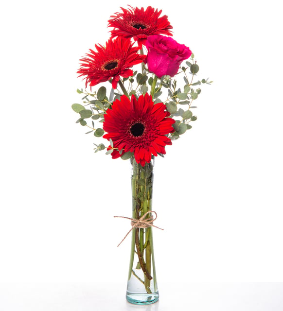 Gerberas rojas y rosas fucsias en florero de vidrio