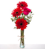 Gerberas rojas y rosas fucsias en florero de vidrio (M)