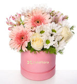 Margaritas blancas, rosa amarillas y gerberas rosadas en caja rosada