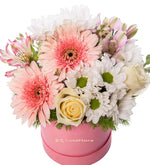 Margaritas blancas, rosa amarillas y gerberas rosadas en caja rosada