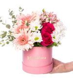 Astromelias rosadas, gerberas rosadas y margaritas blancas en caja rosada