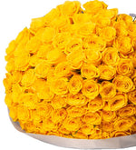 150 Yellow Roses in a Special Gray Bouquet